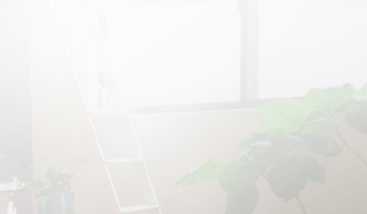ご挨拶_背景画像_窓辺の陽を浴びる植物